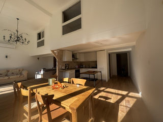  Loft � vendre 4 pi�ces 124 m�