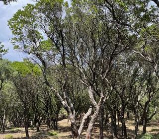  Terrain � vendre 25956 m�