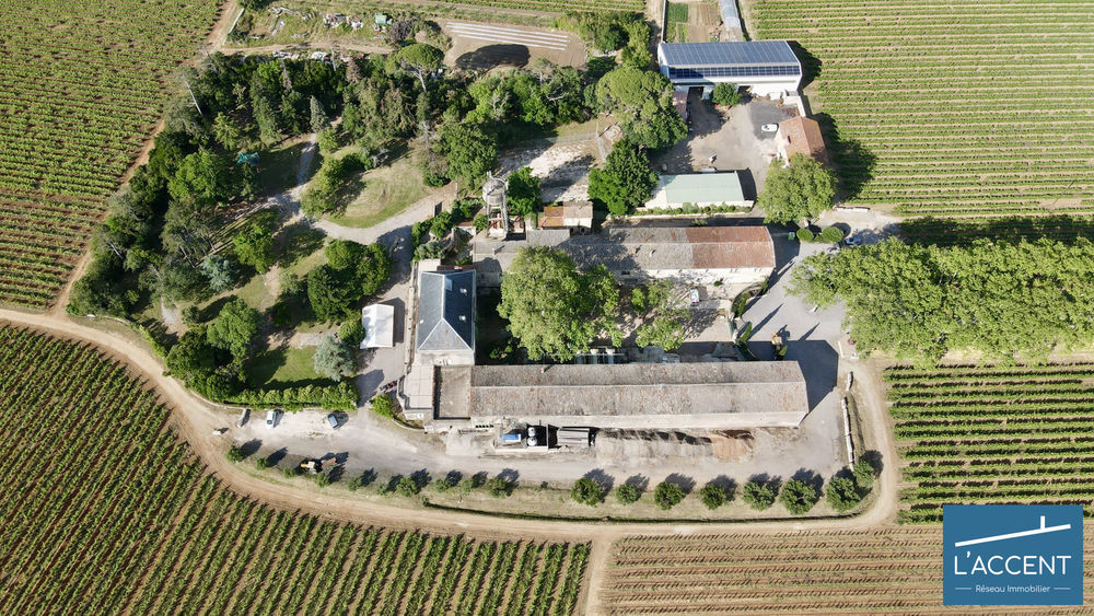 � vendre  Propri�t�/ch�teau Montpellier (34000)