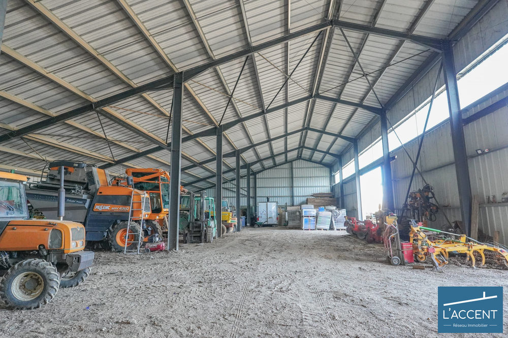 � vendre  Propri�t�/ch�teau Montpellier (34000)