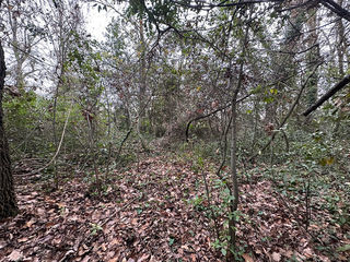  Terrain � vendre 5166 m�