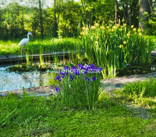  Maison � vendre 8 pi�ces 176 m�