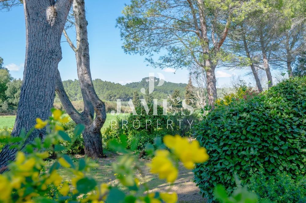 � vendre  Maison Paradou (13520)