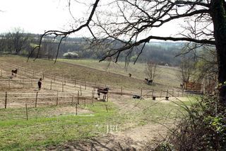  Terrain � vendre 1 pi�ce 100 m�