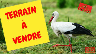  Terrain � vendre 787 m�