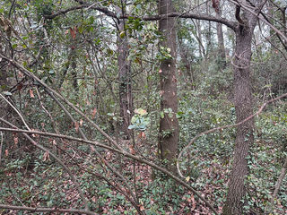  Terrain � vendre 5166 m�