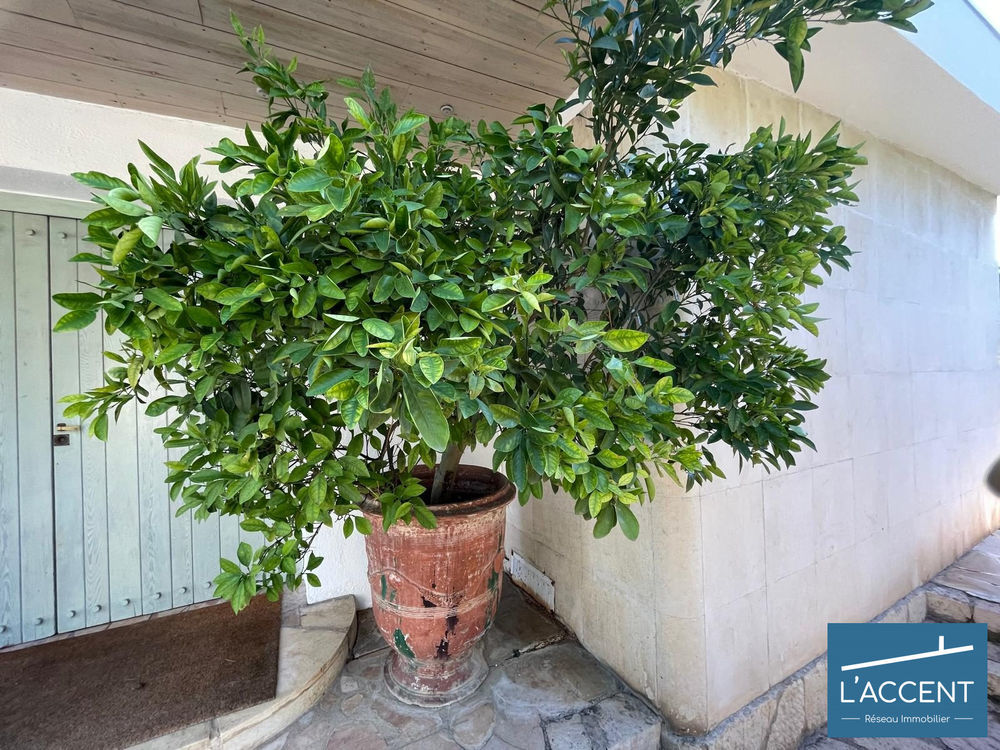 � vendre  Villa N�mes (30000)