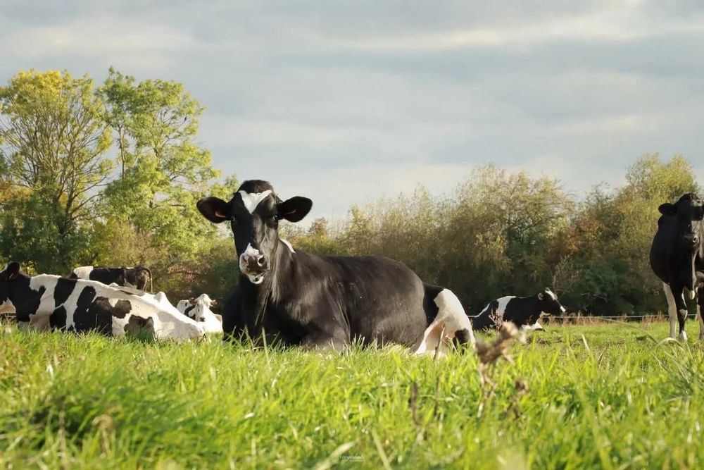 � vendre  Maison Fresnes-en-Wo�vre (55160)