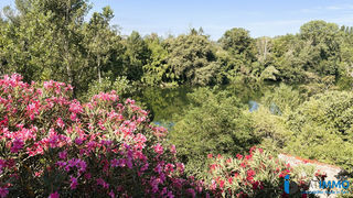  Immeuble � vendre 90 m�