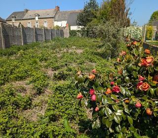  Maison � vendre 3 pi�ces 64 m�