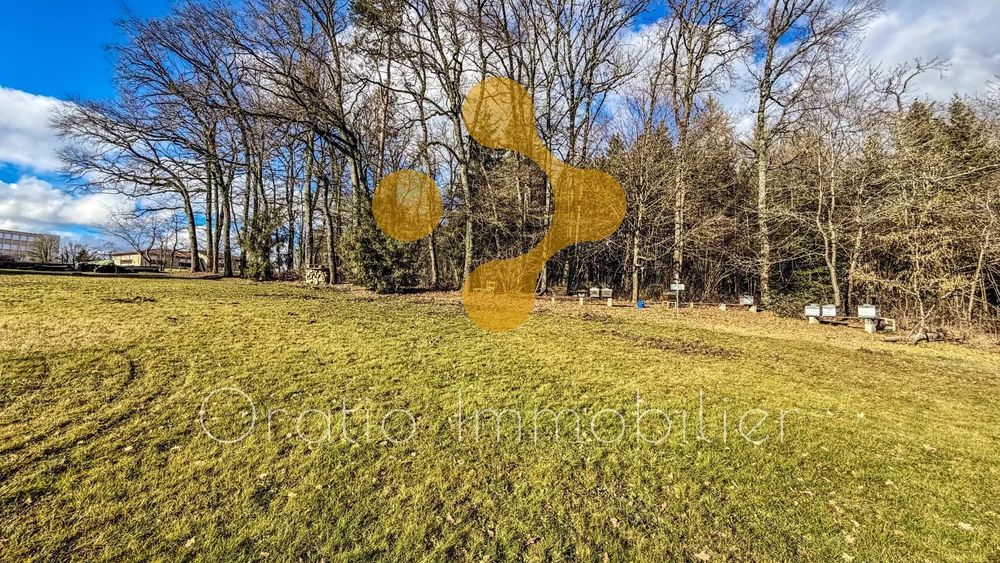 � vendre  Villa Poisy (74330)