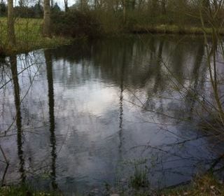  Terrain � vendre 20615 m�