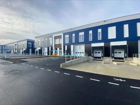 MOISSY A LOUER locaux neufs 12 000m&sup2; divisible &agrave; partir de 823m&sup2; 0 77550 Moissy-cramayel
