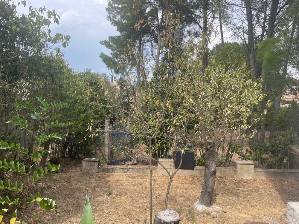 � vendre  Maison Castelnau-le-Lez (34170)