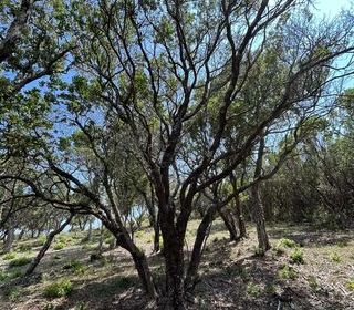  Terrain � vendre 25956 m�