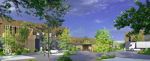 My Transac vous propose &agrave; la vente et &agrave; la location un b&acirc;timent Neuf divisible en plusieurs cellules 1544700 77170 Brie-comte-robert