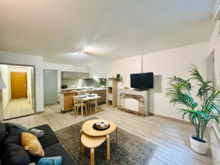  Appartement � vendre 2 pi�ces 48 m�