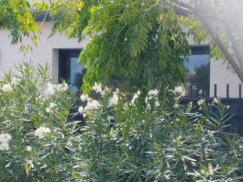   T3 Appartement - 3 pi�ce(s) - 72 m�