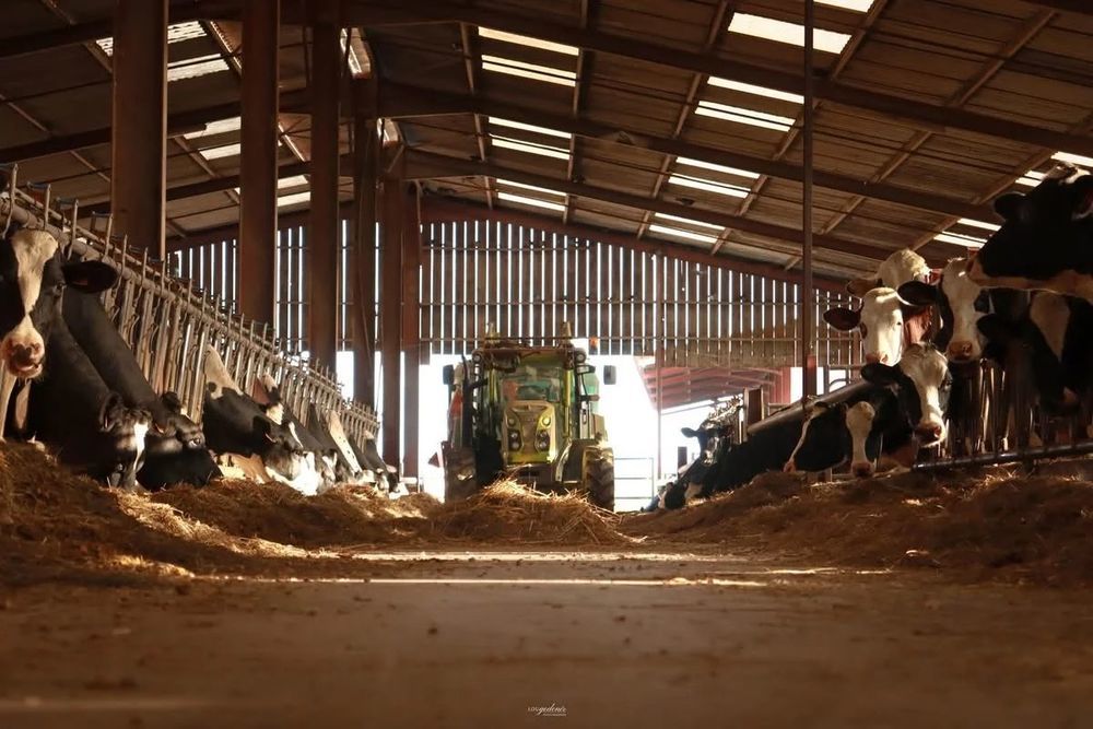 � vendre  Maison Fresnes-en-Wo�vre (55160)