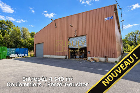 Entrepot r&eacute;nov&eacute; 4 540 m&sup2; Coulommiers / Fert&eacute;-Gaucher 13200 77100 Meaux