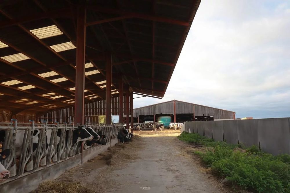 � vendre  Maison Fresnes-en-Wo�vre (55160)