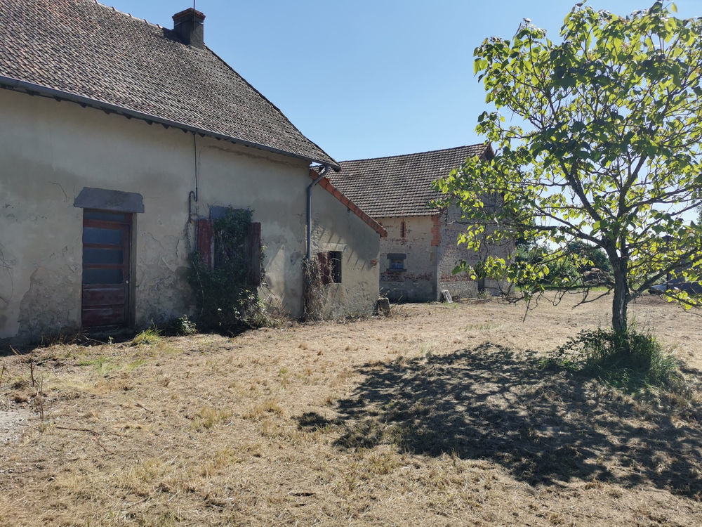 � vendre  Propri�t�/ch�teau Lusigny (03230)