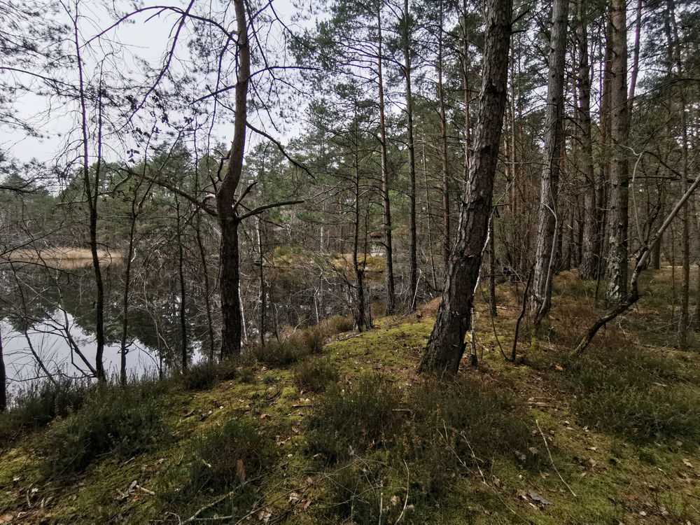 � vendre  Propri�t�/ch�teau Villefranche-sur-Cher (41200)