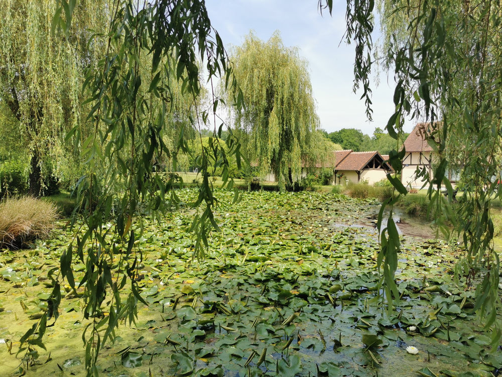 � vendre  Propri�t�/ch�teau Nan�ay (18330)