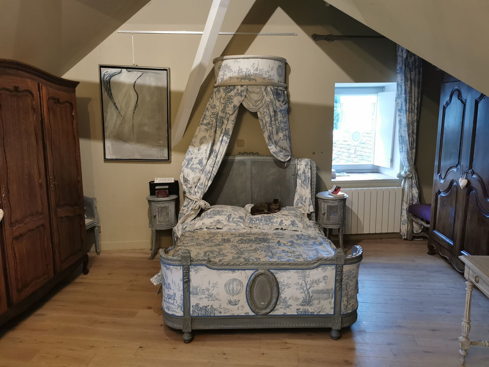 � vendre  Propri�t�/ch�teau La Ch�tre (36400)