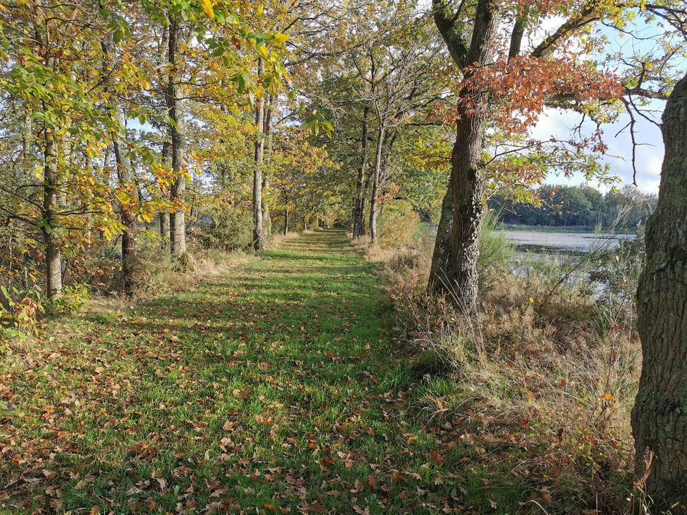 � vendre  Propri�t�/ch�teau Courmemin (41230)