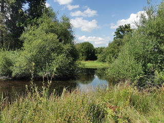  Terrain � vendre 10836 m�