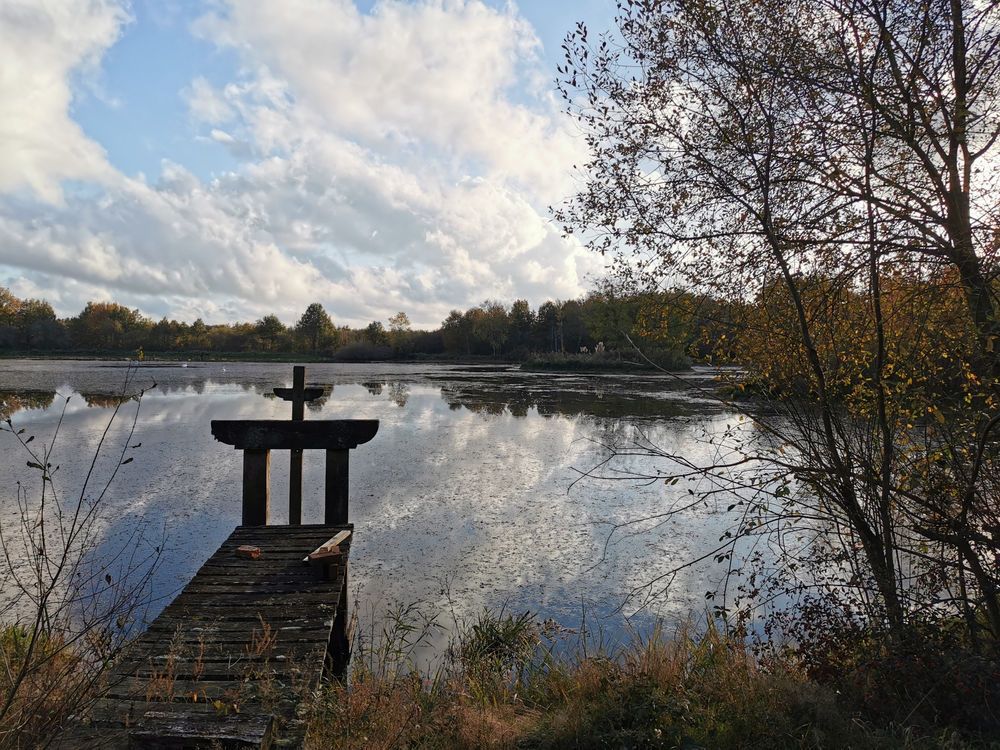 � vendre  Propri�t�/ch�teau Courmemin (41230)