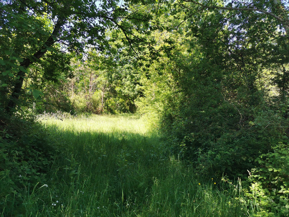 � vendre  Propri�t�/ch�teau Lusigny (03230)