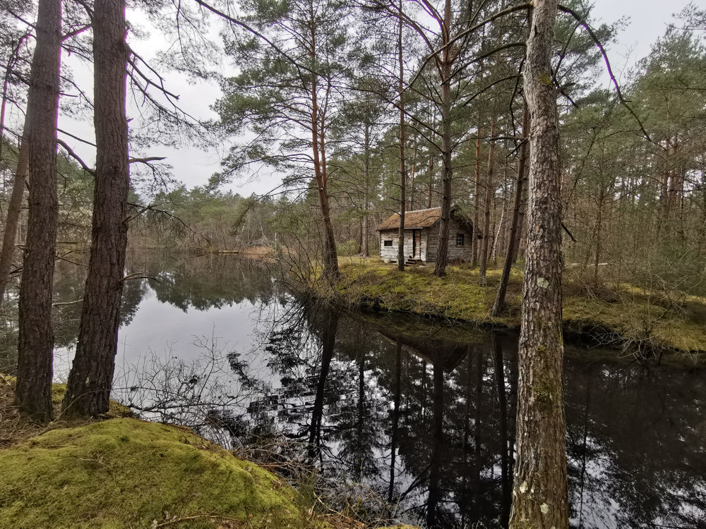 � vendre  Propri�t�/ch�teau Villefranche-sur-Cher (41200)