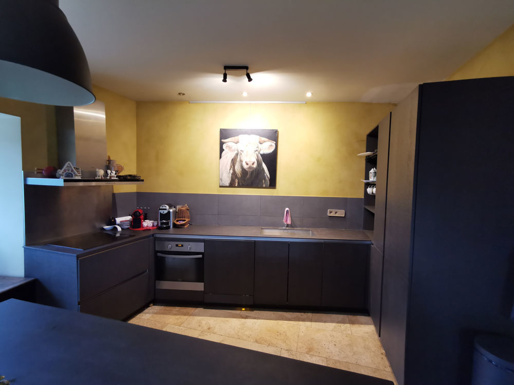 � vendre  Propri�t�/ch�teau La Ch�tre (36400)