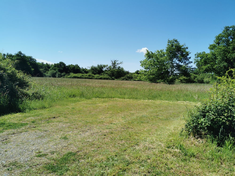 � vendre  Propri�t�/ch�teau Lusigny (03230)