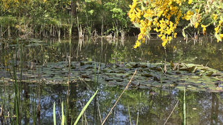  Maison � vendre 7 pi�ces 180 m�