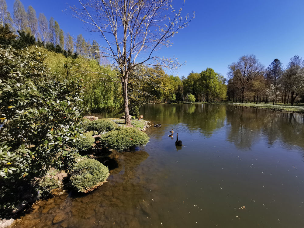 � vendre  Propri�t�/ch�teau Romorantin-Lanthenay (41200)