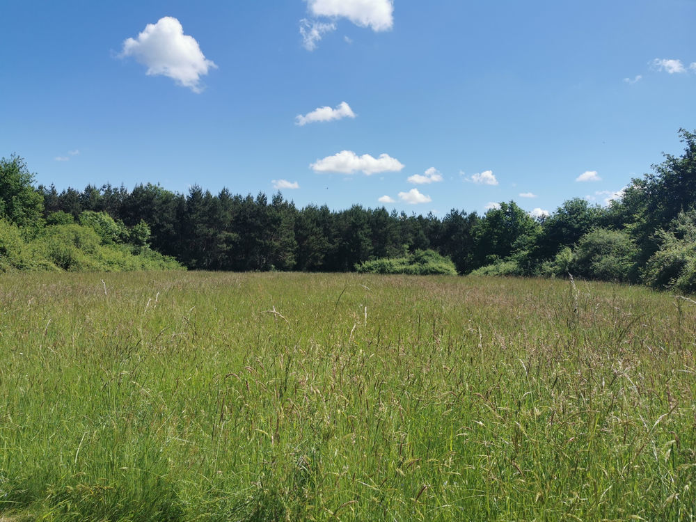 � vendre  Propri�t�/ch�teau Lusigny (03230)