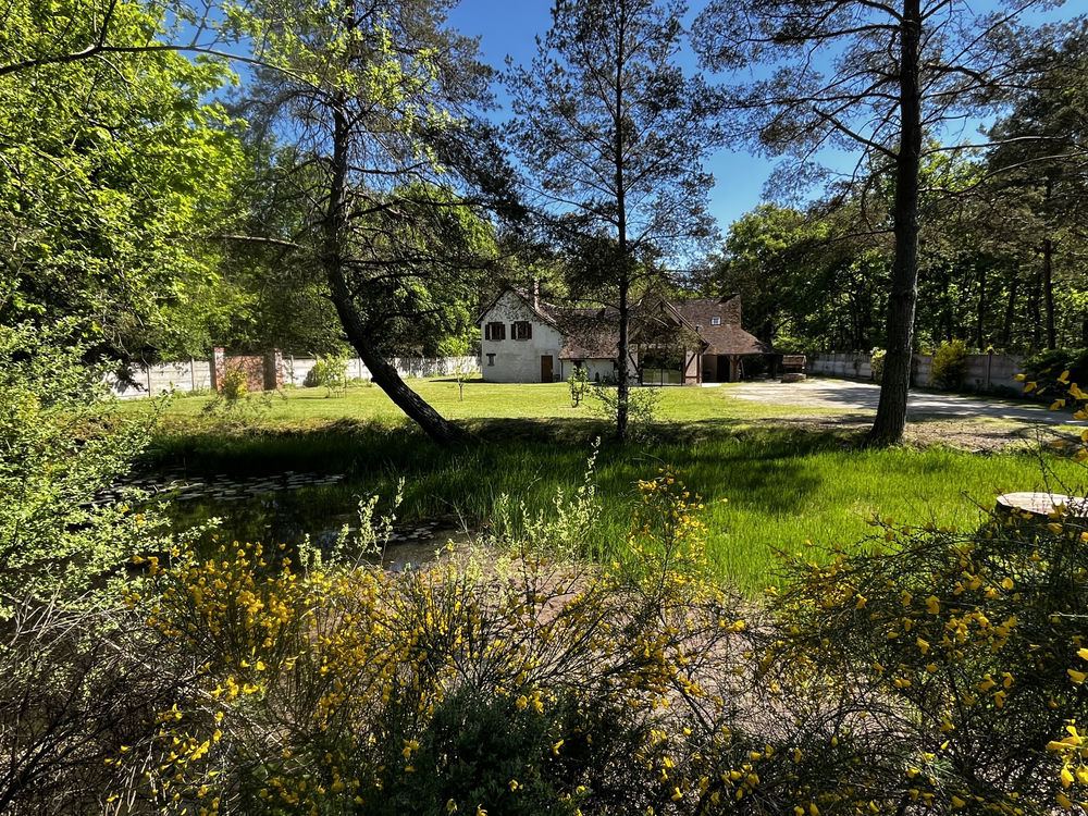 � vendre  Propri�t�/ch�teau Villefranche-sur-Cher (41200)