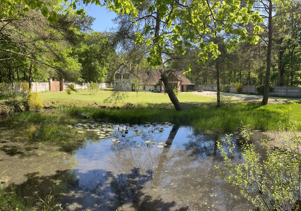 � vendre  Propri�t�/ch�teau Villefranche-sur-Cher (41200)