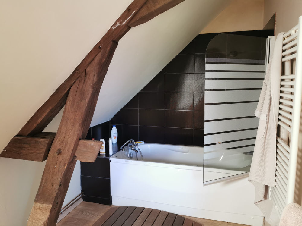 � vendre  Propri�t�/ch�teau Lusigny (03230)