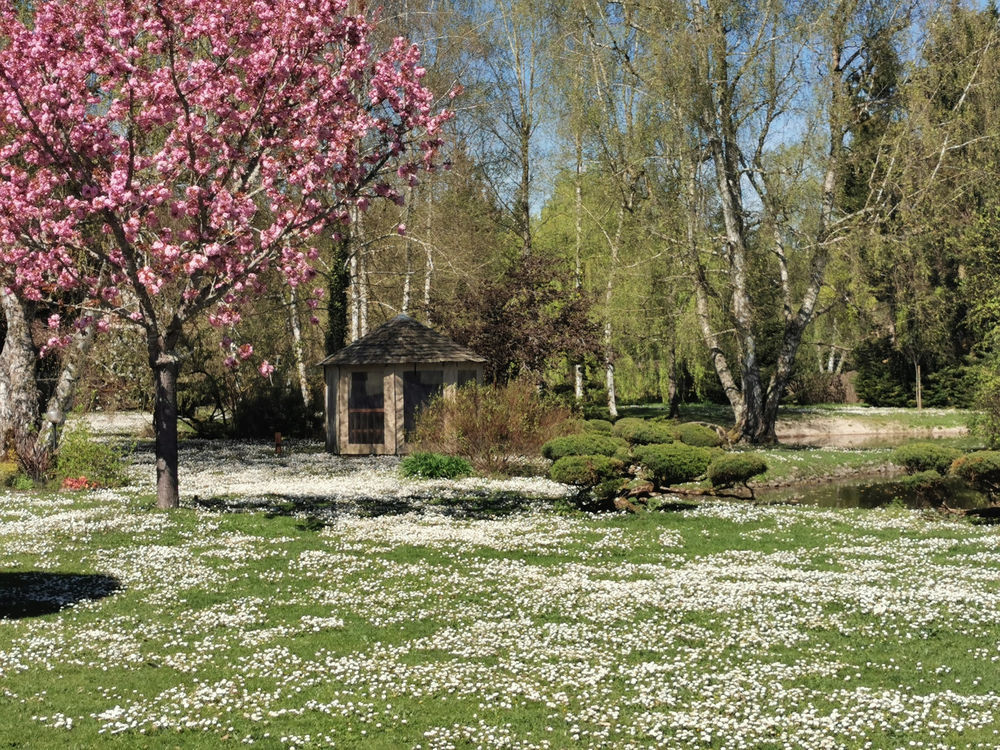 � vendre  Propri�t�/ch�teau Romorantin-Lanthenay (41200)