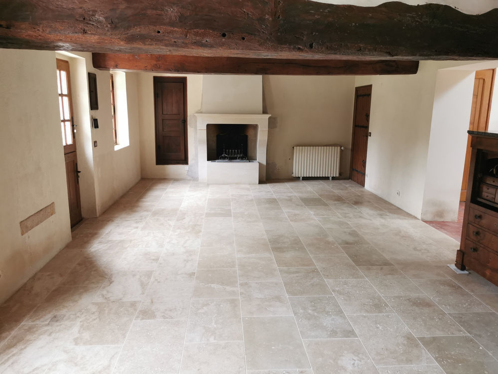 � vendre  Propri�t�/ch�teau Villefranche-sur-Cher (41200)