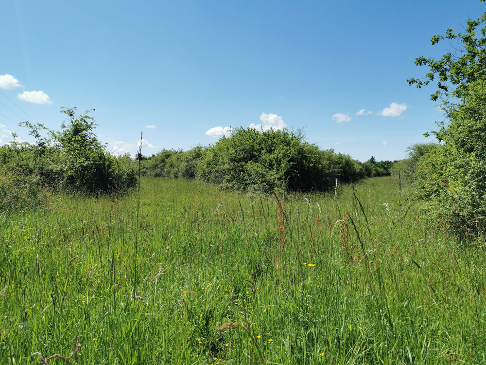 � vendre  Propri�t�/ch�teau Lusigny (03230)