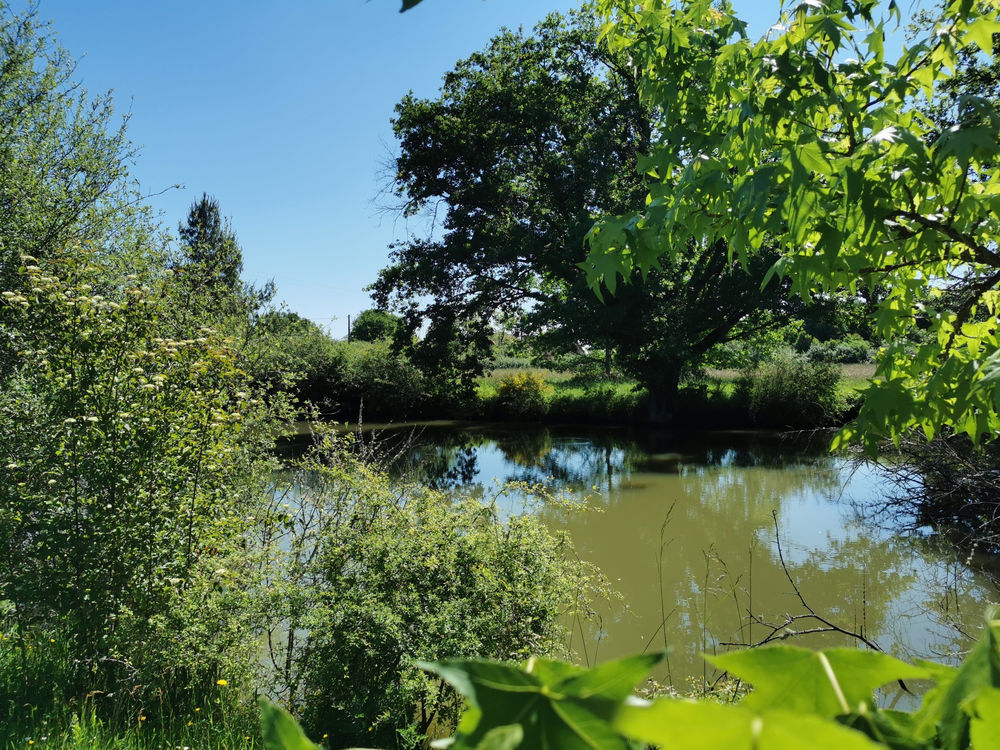 � vendre  Propri�t�/ch�teau Lusigny (03230)