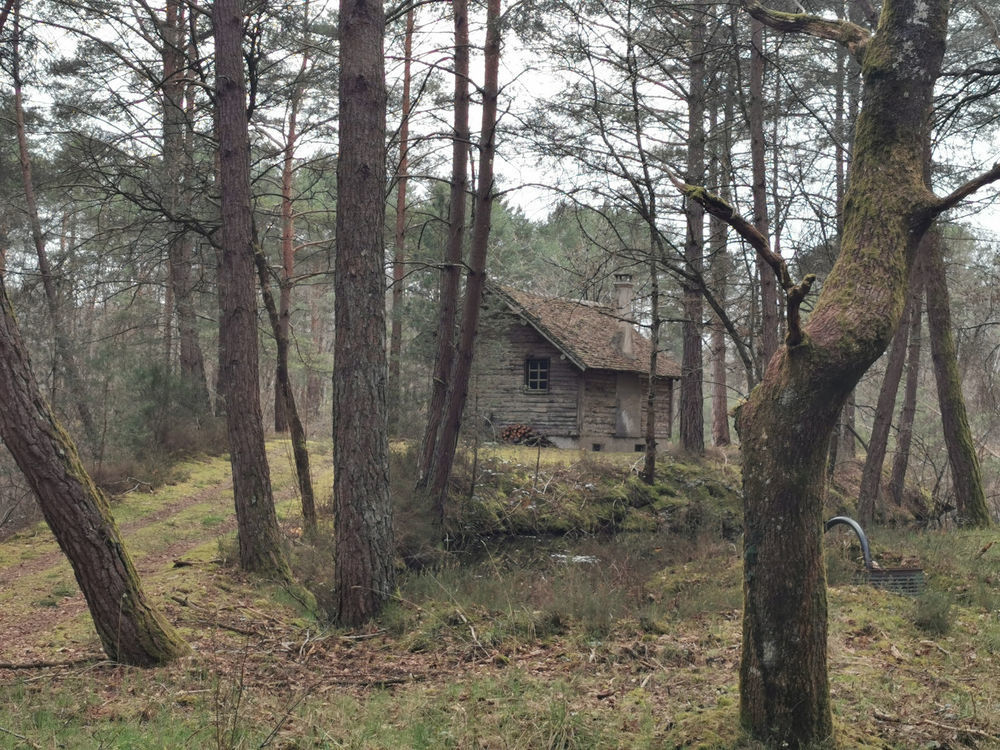 � vendre  Propri�t�/ch�teau Villefranche-sur-Cher (41200)