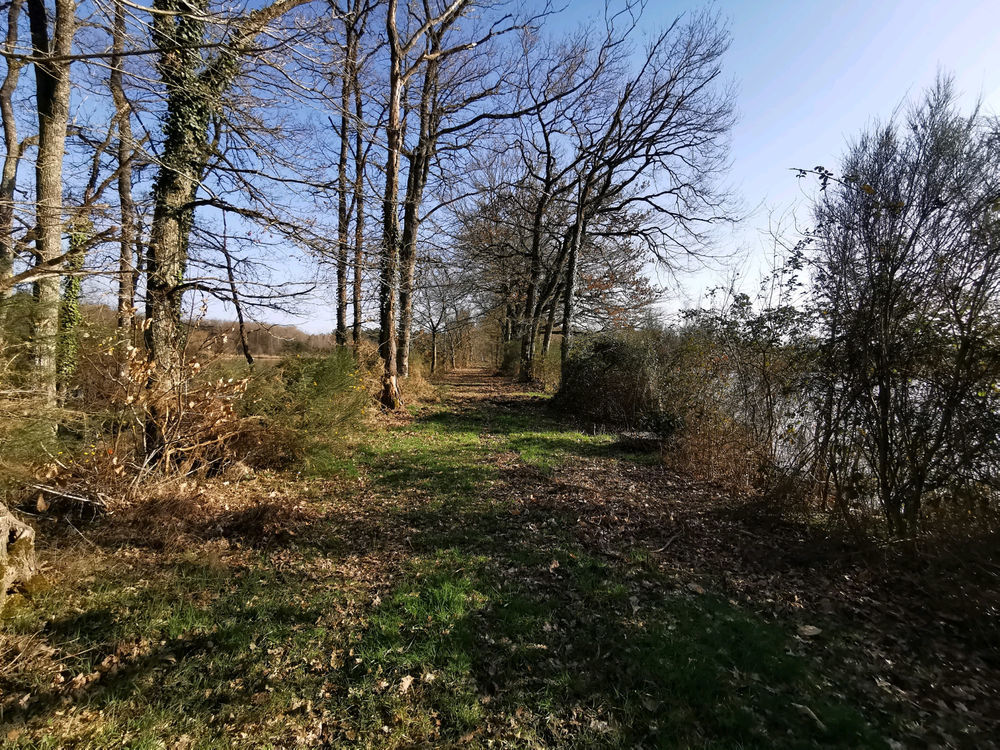 � vendre  Propri�t�/ch�teau Courmemin (41230)