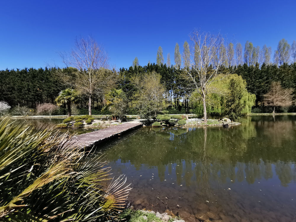 � vendre  Propri�t�/ch�teau Romorantin-Lanthenay (41200)