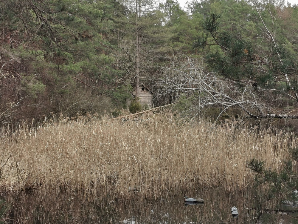 � vendre  Propri�t�/ch�teau Villefranche-sur-Cher (41200)